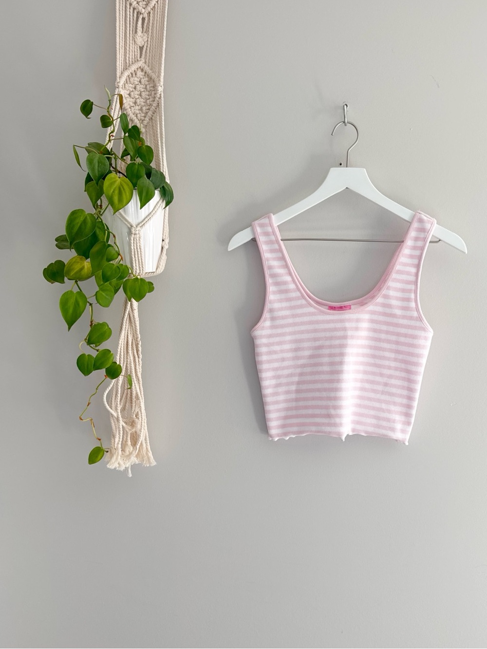 Stonley Clover x Target Tank